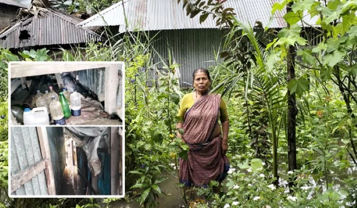 পানিবন্দি ভাঙা ঘরে সাবেক ইউপি সদস্য দীপ্তি; সাপ-ব্যাঙের সঙ্গে কাটছে দিন-রাত